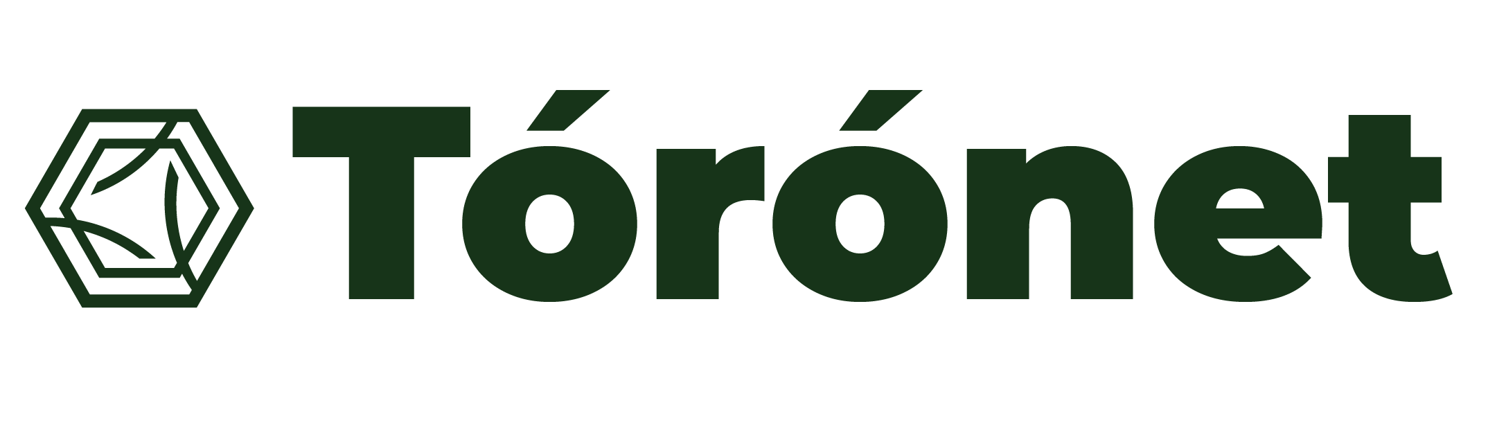 Toronet Logo